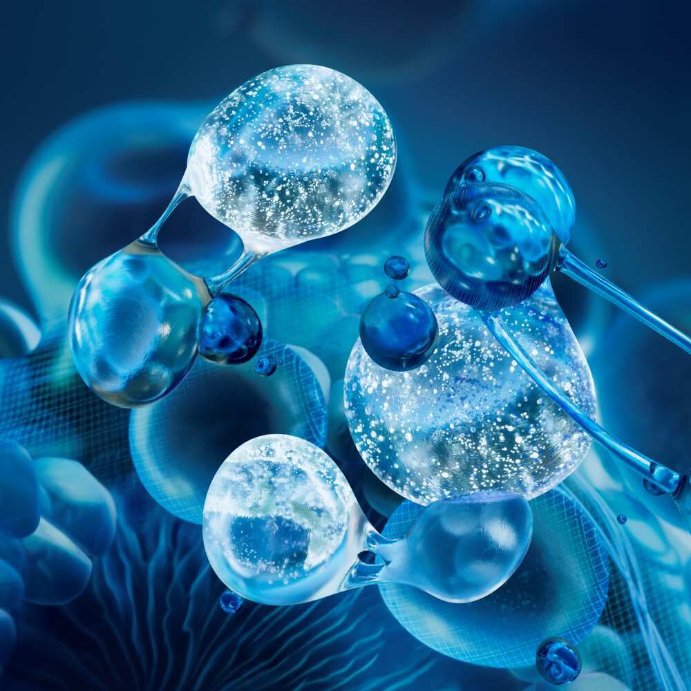 Molecule Biotech Plankton