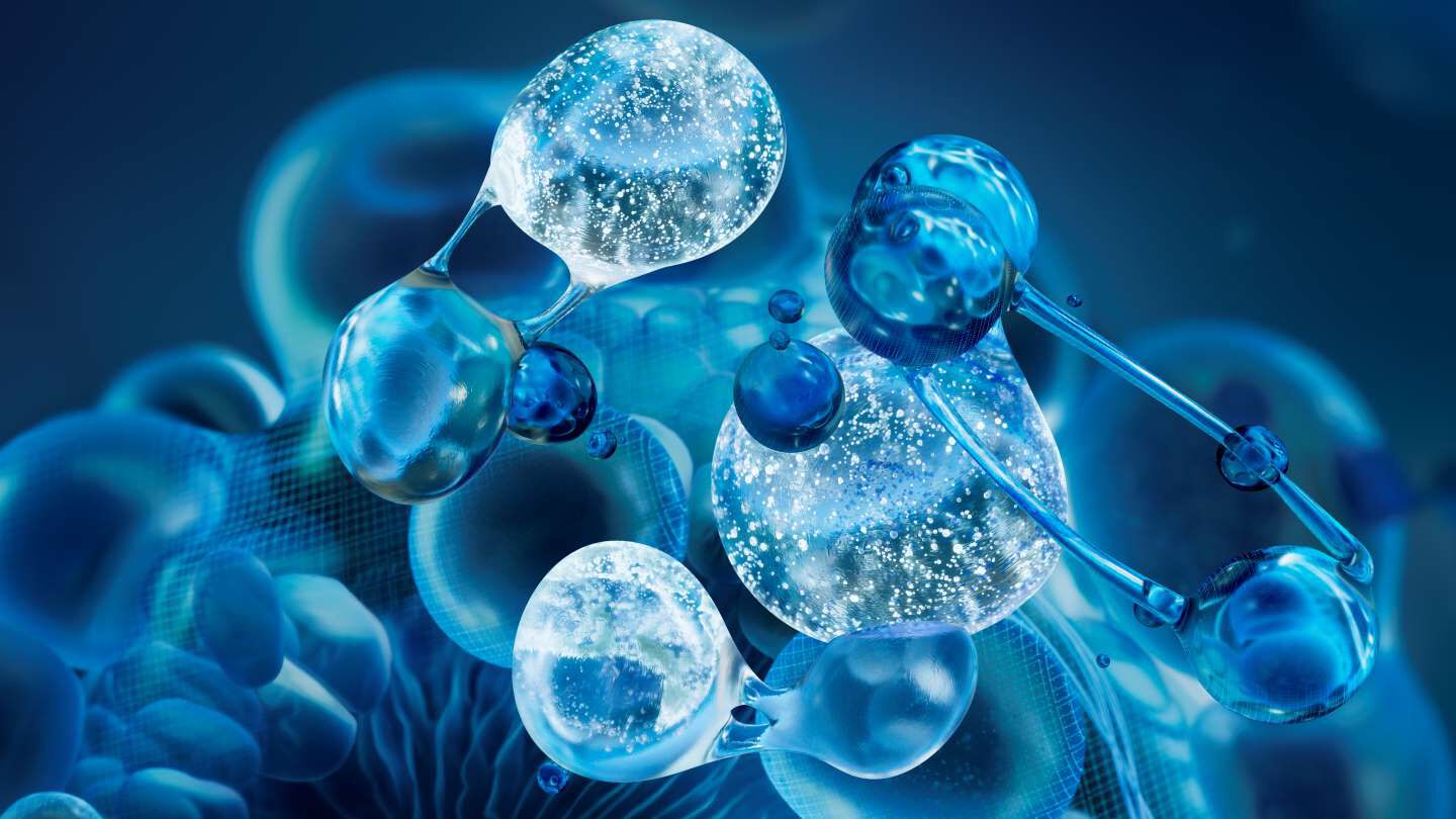 Molecule Biotech Plankton