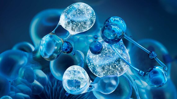 Molecule Biotech Plankton