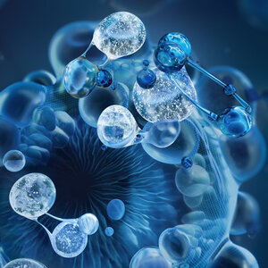 BIOSCIENCES & INGREDIENTS