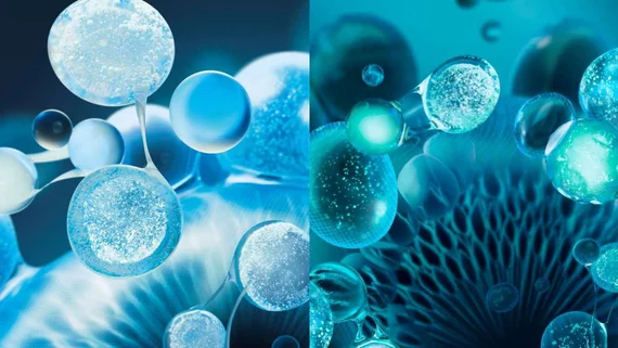 niacinamide and hyaluronic acid ingredients