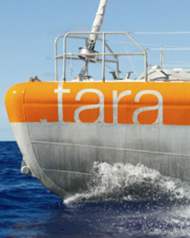 Icon Handschlag in Herzform