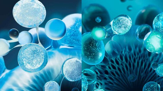 niacinamide and hyaluronic acid ingredients