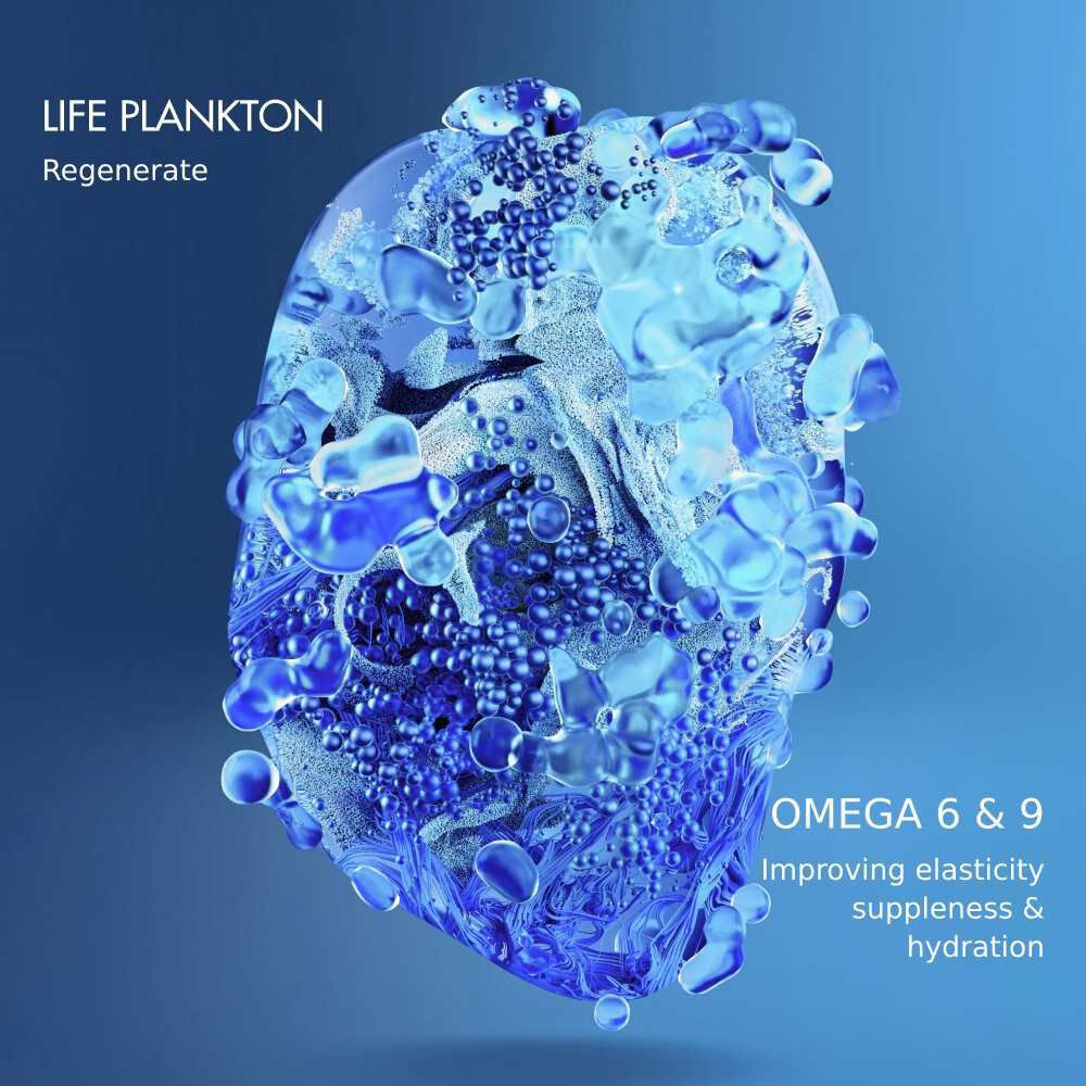 Ein in Eis eingefrorener Kopf in blauer Farbe, uber dem Text: "BLU NAVY, Requiem" und "THE MAX 0.5.4".